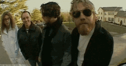 Jackass GIF