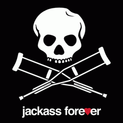 Jackass GIF