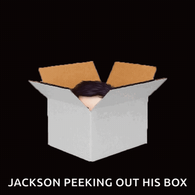 Jackson Peeking Out His Box GIF