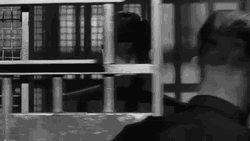 Jackson Right To Jail  GIF