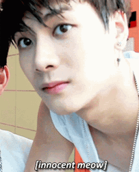 Jackson Wang GOT7 Meow GIF