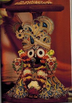 Jagannath Meme GIF