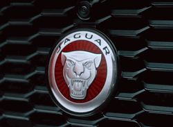 Jaguar Circle Logo In Car GIF