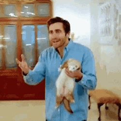 Jake Gyllenhaal Speaking Ferret Animal  GIF