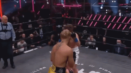 Jake Paul Boxing Match GIF
