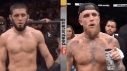 Jake Paul Islam Makhachev GIF