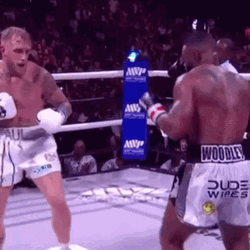 Jake Paul Knocked Enemy Down GIF