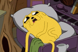 Jake The Dog Getting Old GIF