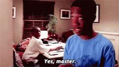 Jake Yes Master GIF