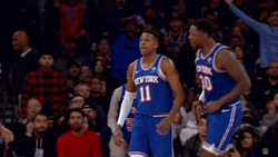 Jalen Brunson Celebration Basketball Icon GIF