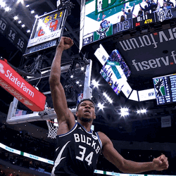 Jalen Brunson Celebration Fist Up GIF