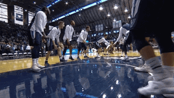 Jalen Brunson Celebration Symbol Of Success GIF