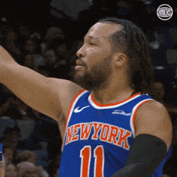 Jalen Brunson Knicks GIF