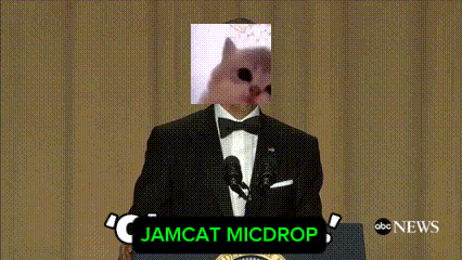 Jamcat Catjam GIF
