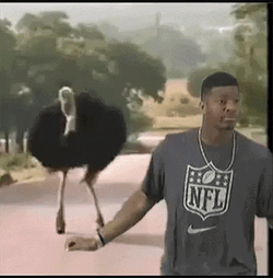 Jameis Winston NFL Background GIF