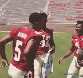 Jameis Winston NFL Meme GIF