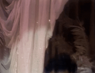 James Browns Celebrity Hot Tub Party GIF