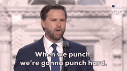 James David JD Vance Punch Hard GIF