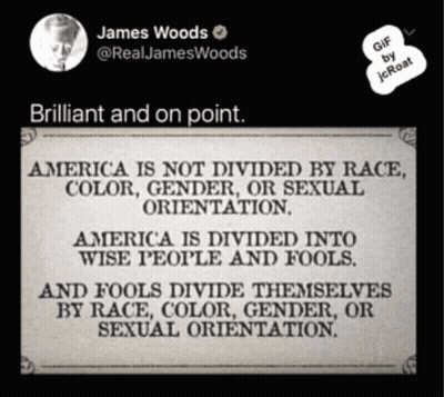 James Woods Tweet About America Divided GIF