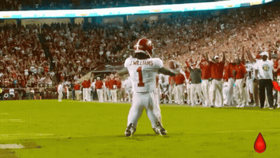 Jameson Williams GIF