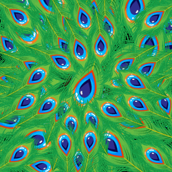 Janmashtami Peacock Feathers Krishna Reveal GIF