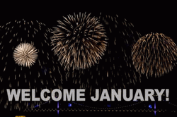 January Sparkling Fireworks Display GIF