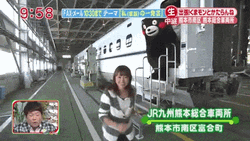 Japanese Bear Mascot Fall Down GIF