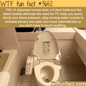 Japanese Fun Facts GIF