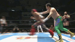Japanese Pro Wrestling Action