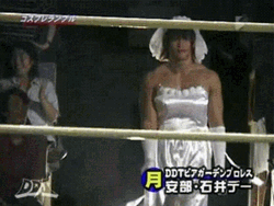 Japanese Pro Wrestling