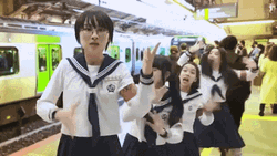 Japanese Train Transportation GIF