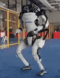 Jared Boston Dynamics Robot Dance GIF