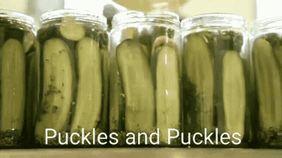 Jars Of Pickles Lined Up Saying Pickles And Pickles GIF