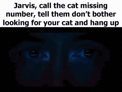 Jarvis , Call The Cat Missing Number , Tell Them Don 'T Bother Looking For Your Cat And Hang Up .. GIF