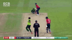 Jason Roy Cricketer GIF