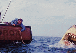 Jaws Big Shark Ocean GIF