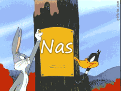 Jay-Z Looney Tunes GIF
