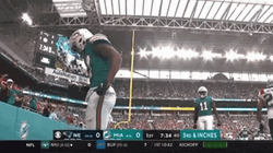 Jaylen Waddle Celebration Funny Penguin Dance GIF