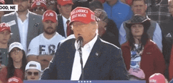 JD Vance Donald Trump Meme GIF