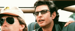 Jeff Goldblum Iconic Smile GIF