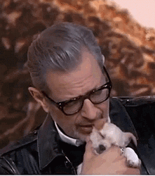 Jeff Goldblum Kiss Puppy GIF