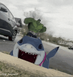 Jeff The Shark Curb GIF