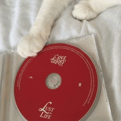 Jennie Red GIF