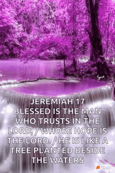 Jeremiah 17 Blessed Is The Man Who Trusts In The Lord GIF