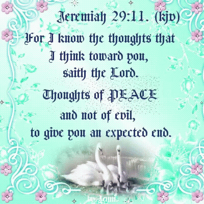 Jeremiah 29:11 Bible Verse On Blue Background GIF
