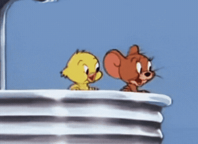 Jerry And Tweety Looking At Each Other GIF