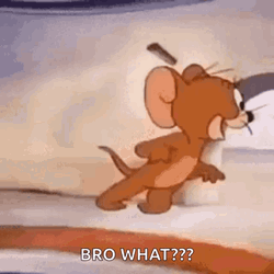 Jerry Bro Wat GIF
