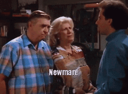 Jerry Steinfeld Calling Newman GIF