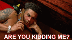 Jersey Shore Pauly Are You Kidding Me GIF
