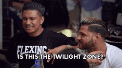 Jersey Shore Pauly Is This The Twilight Zone  GIF